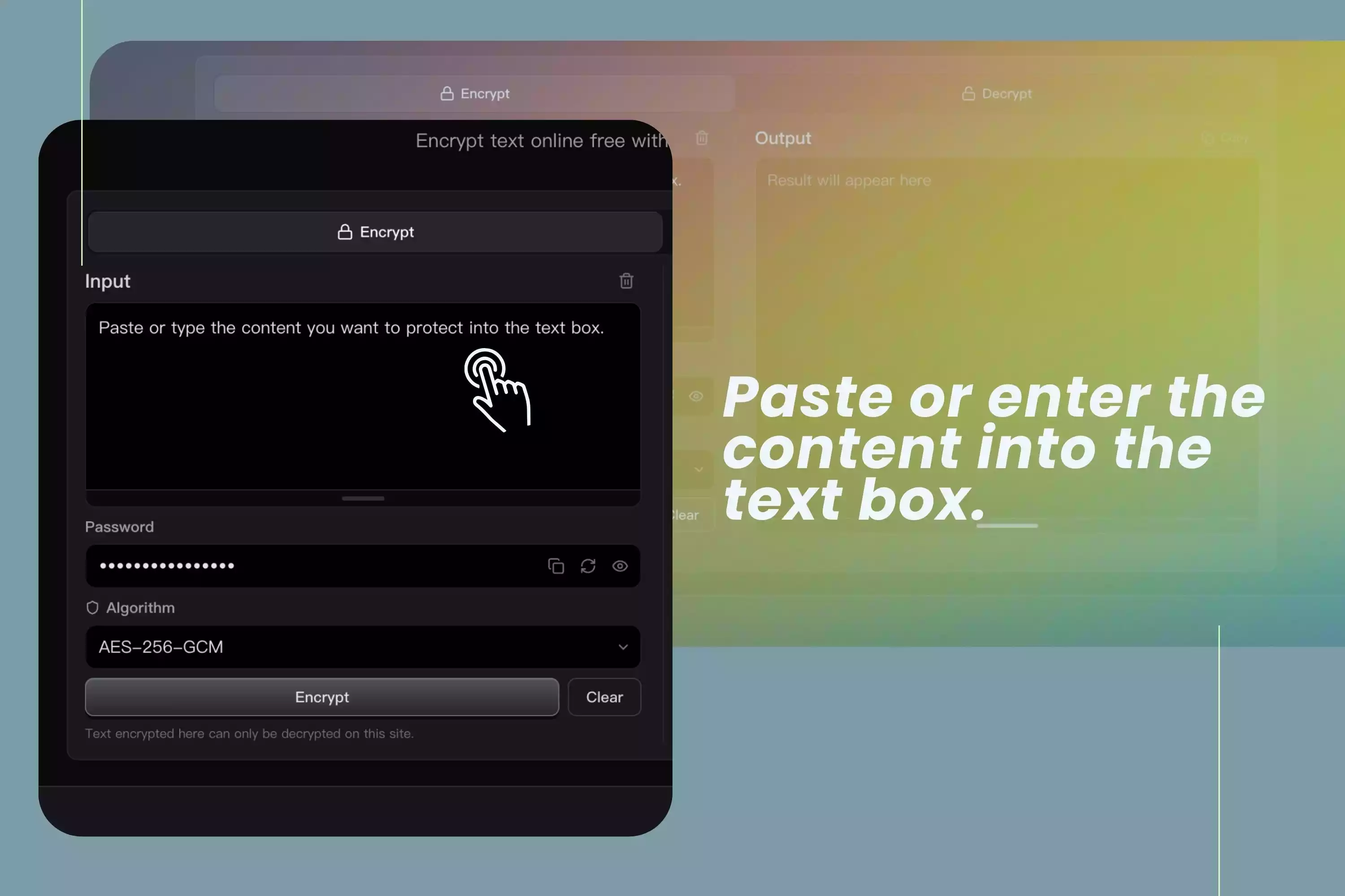 Enter text into the online text encryption tool before encrypting